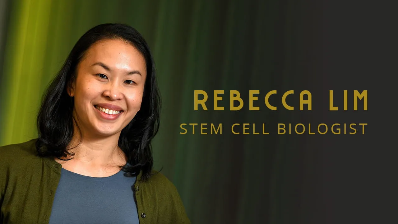 Regenerative medicine and stem cell therapies