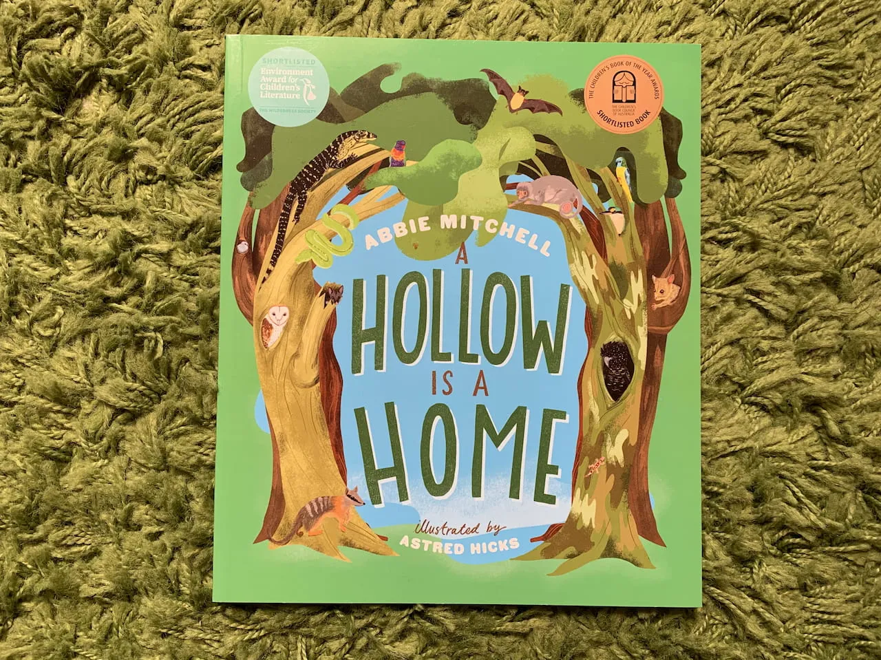 <em>A Hollow is a Home</em> photo of Abbie Mitchell's Books