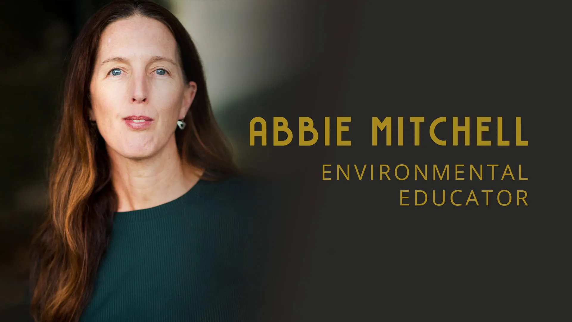 Environmental Education & Tree Hollows for Wildlife