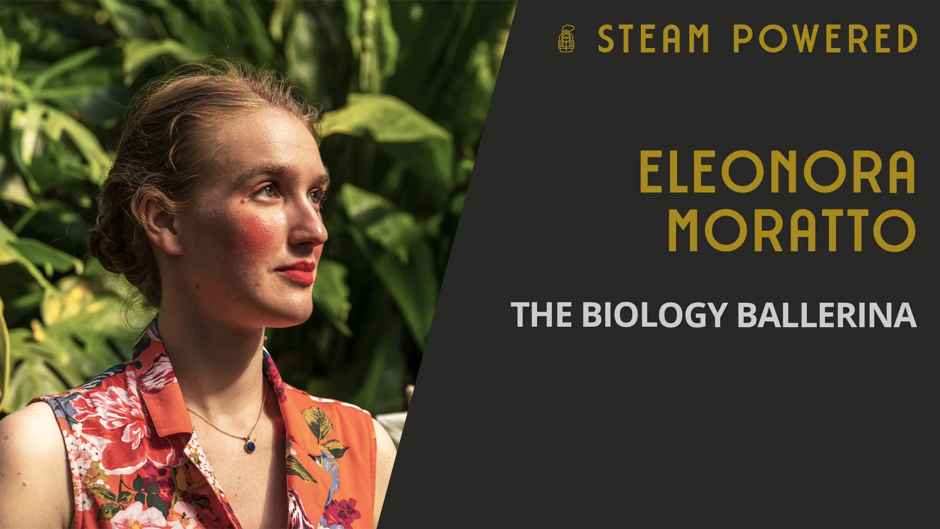 Plant immune systems and SciArt