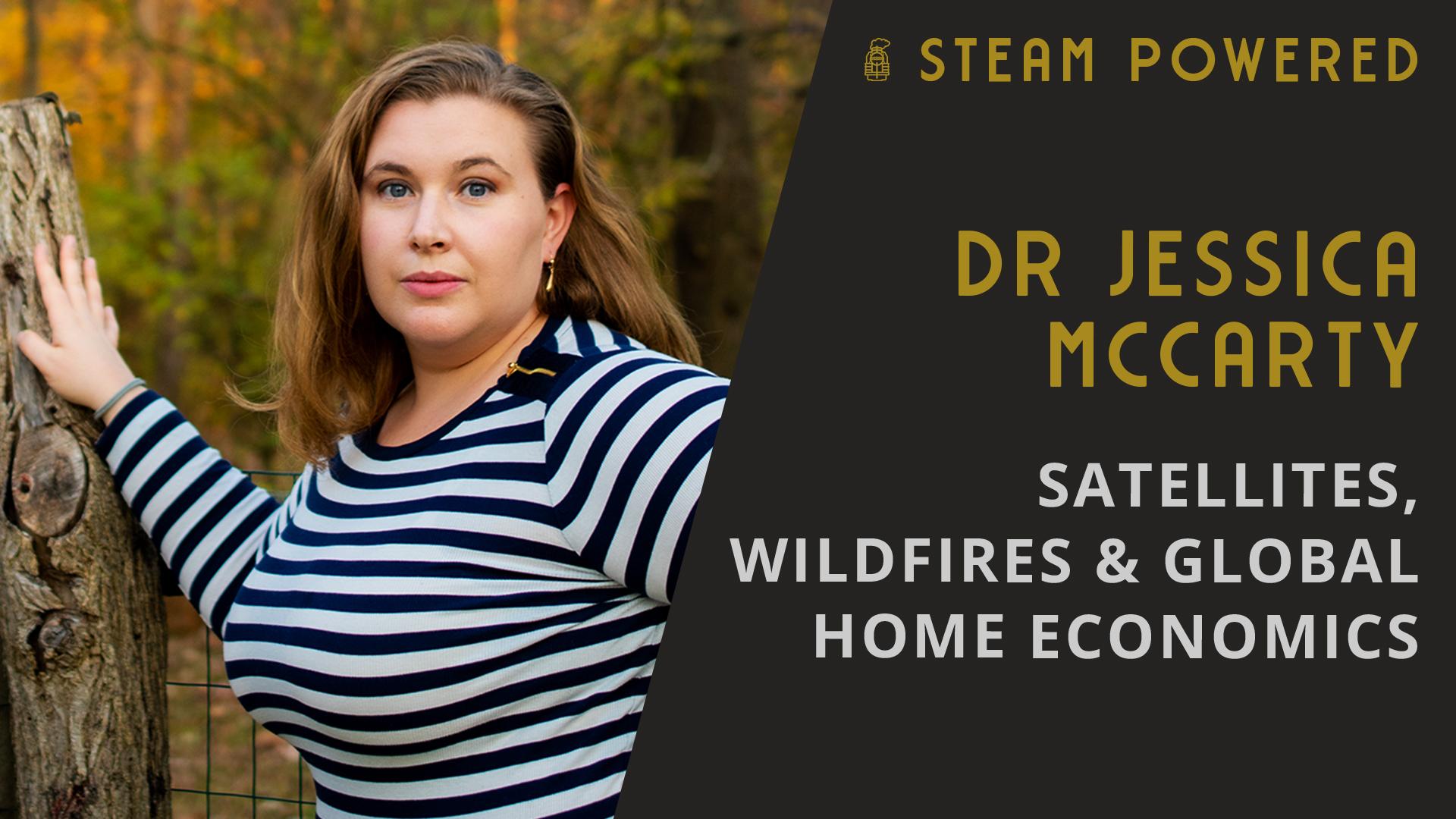Satellites, Wildfires, and Geography as Home Economics on a Global Scale
